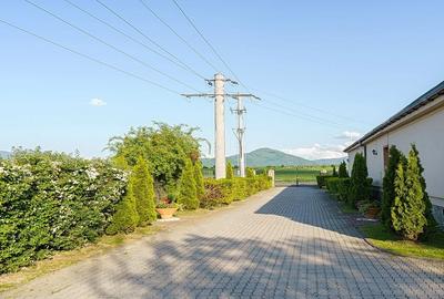 Proximitate fata de Castelul Bran - 55