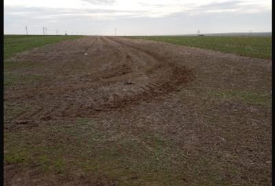 Teren agricol extravilan de 5000 mp, în Tariverde