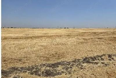 Teren extravilan Zimnicea cota parte 1/6 ID: R2688418 - 3