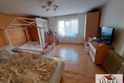 Vanzare casa Alba Iulia - Cetate -700 mp teren - 4