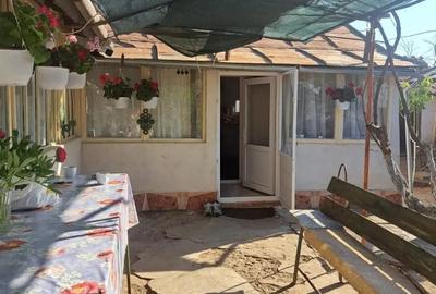 Casa cu teren generos de vanzare comuna Ro?iori, jude?ul Braila - 5