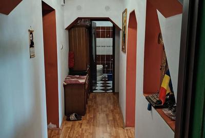 Apartament cu 2 camere decomandat în Remetea Mare - 4