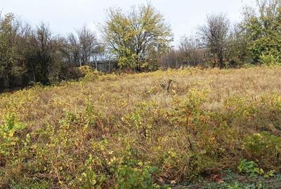 Casă cu 3 camere cu Teren 2493 Mp în Pădina - 6