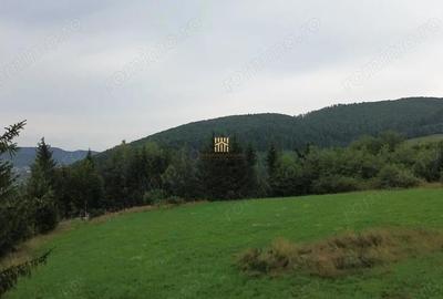 Teren de 5023 mp, în Voroneț - 2