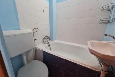 Apartament 1 camera, 21 mp, decomandat, etaj 4, zona Buziasului - 3