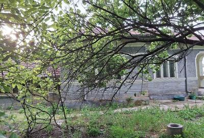Casă cu Teren 1800 Mp în Radovanu - 4