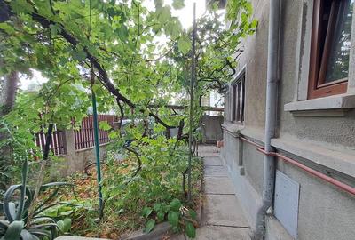 Vila Interbelica 6 camere Vatra Luminoasa - 8