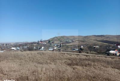 Spațiu comercial, în Oglinzi - 3