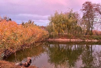 Vanzare casa vila -Dulcesti - 7