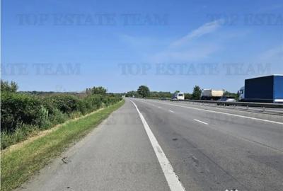 Teren de 219413 mp, în Florești - 5