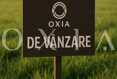 AX1152 Berecsaul Mic, Teren Intravilan Pentru Constructii, 20 Euro/Mp - 4