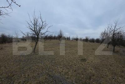 Teren extravilan de vanzare, 900 mp, Bistrita - 10