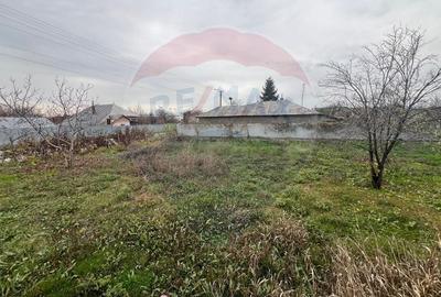 Casa 4 camere Rachitosu - 14