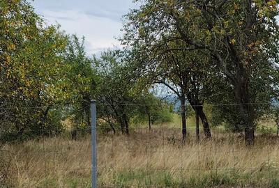 Casă cu 4 camere cu Teren 4316 Mp în Breazova - 7