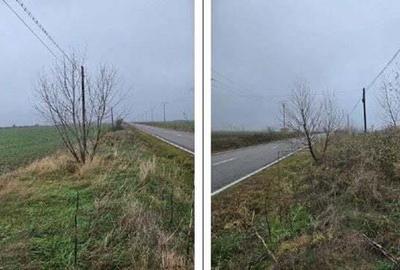 Teren Budesti, ID: R2362337 - 2