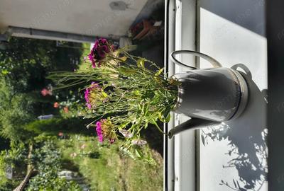 Casă cu 3 camere în Central - 2