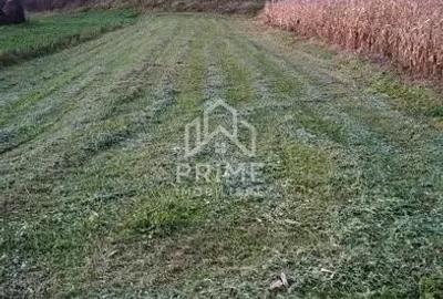 Teren de 708 mp, în Tău - 1