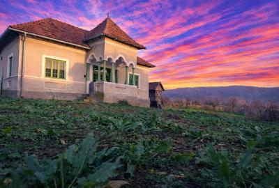 Teren de 4443 mp, în Bratia din Vale - 4