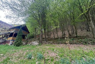 Casă individuală cu 5 camere cu Teren 900 Mp în Ighiel - 10