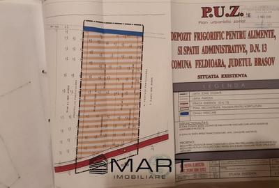 Teren intravilan Calea Feldioarei - 4