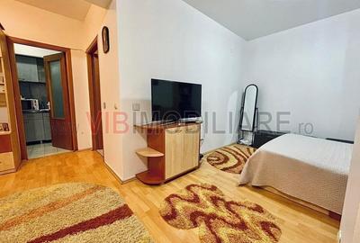 Drumul Taberei - Studio - Valea Ialomitei - C Brancusi - 10