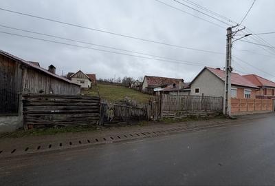 Spațiu comercial, în Păuca - 7