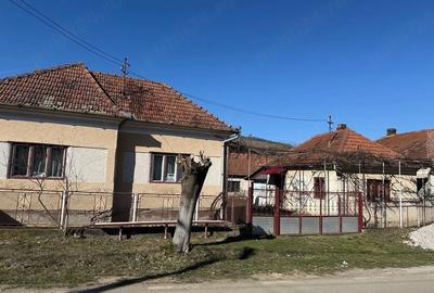 Casă cu 4 camere cu Teren 2059 Mp în Panc - 8