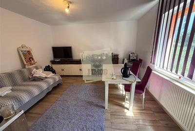 Casa individuala cu 2 camere si 495 mp teren in Sura Mare - 1