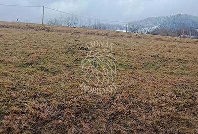Teren de 8335 mp, în Săcuieu - 7
