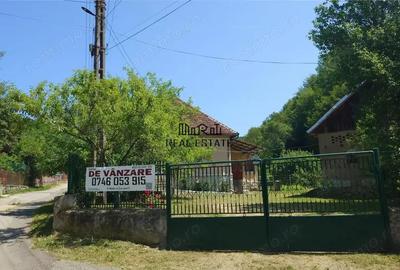 Casa cu teren si padure la tara - 2
