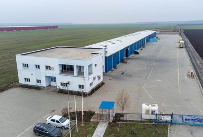 Spatiu industrial si Birouri 3700 MP Teren 24895 MP Sindrilita DN2 - 3