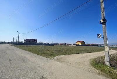 Teren de 500 mp, în Central - 4