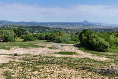 Comision 0% | Teren intravilan 3000 mp| Sohodol | Priveli... - 3