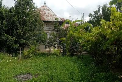 Casă cu 2 camere cu Teren 3198 Mp în Aninoasa - 10