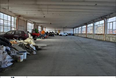 Spațiu comercial, de 1,500 mp, în Micălaca - 1