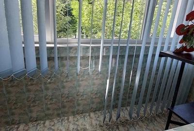 Apartament cu 2 camere decomandat, mobilat în Baba Novac - 10