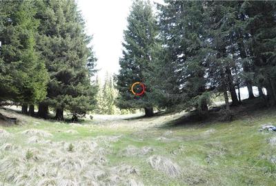 Terenuri speciale Padina Busteni - 10