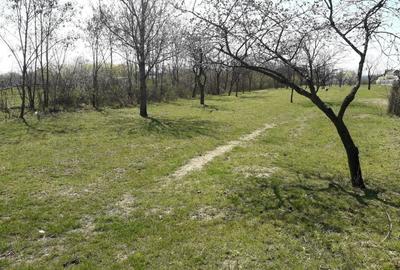 Teren de 1559 mp, în Cocoșești