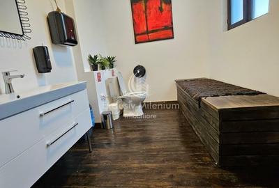 Vila Exclusivista Cismigiu  - Stirbei Voda Birouri - 14