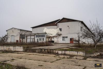 Teren Construcții intravilan de 28788 mp, în Nord - 31