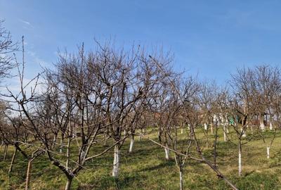Teren intravilan de 1059 mp, în Roman - 7