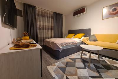 Garsonieră decomandată, mobilată în Dristor - 2