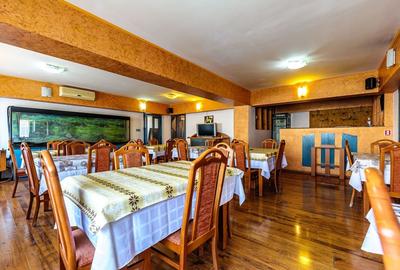 Hotel în Pârneava - 1