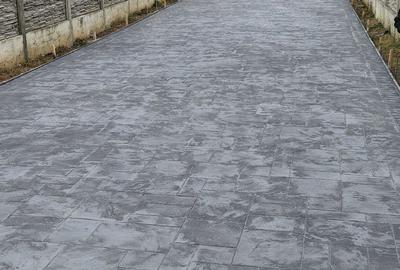 Casă cu 4 camere cu Teren 306 Mp în Chișoda - 2