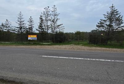 LIVADA  DE VANZARE FOCSANI-DUMBRAVITA  1,8  HA - 31