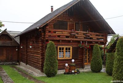 Casă cu 1 camere cu Teren 300 Mp în Ocna Șugatag - 9