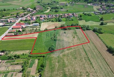 Teren de vanzare Blajel, jud. Sibiu | 15.360 mp - p... - 18