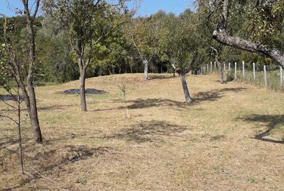 Casă cu 2 camere în Gârdani - 3