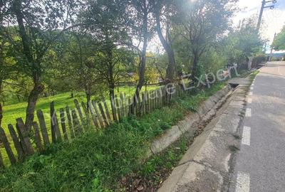 Teren de vanzare in comuna Arefu, sat Arefu, jude? Arge?. - 5