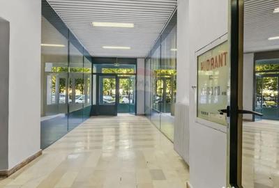 Spațiu comercial, de 4,602 mp, în Ultracentral - 14
